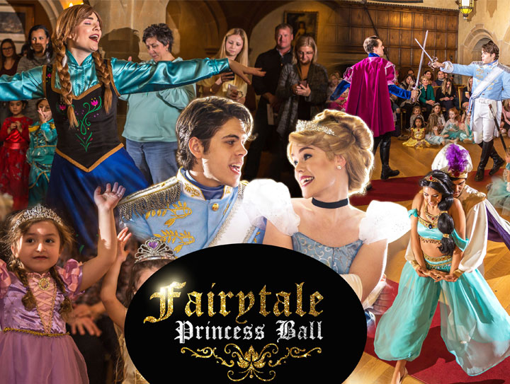 Chicago Princess Ball in Naperville Illinois,princess birthday party