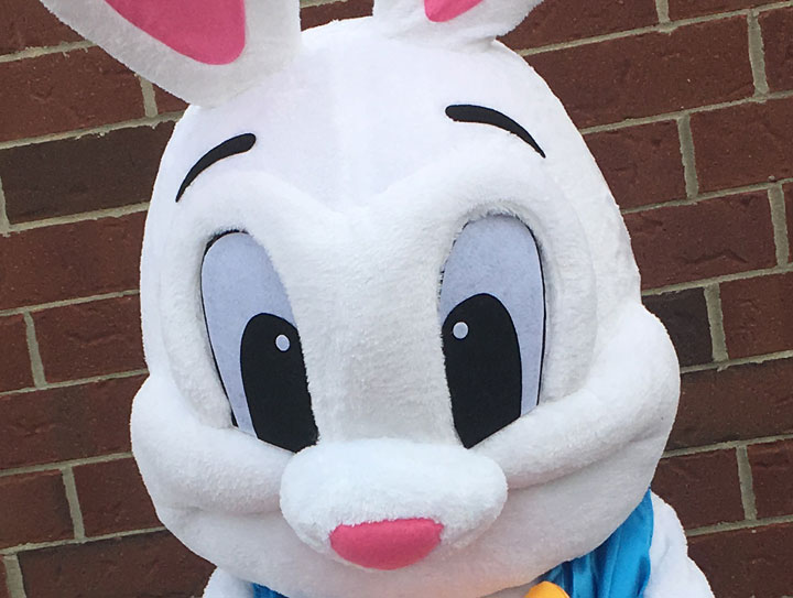 Rent the Easter Bunny for Kids