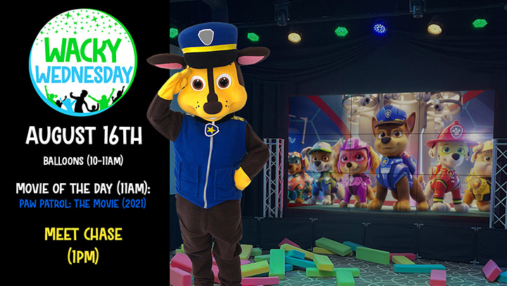 paw patrol chase for kids birthday in detroit and chicago