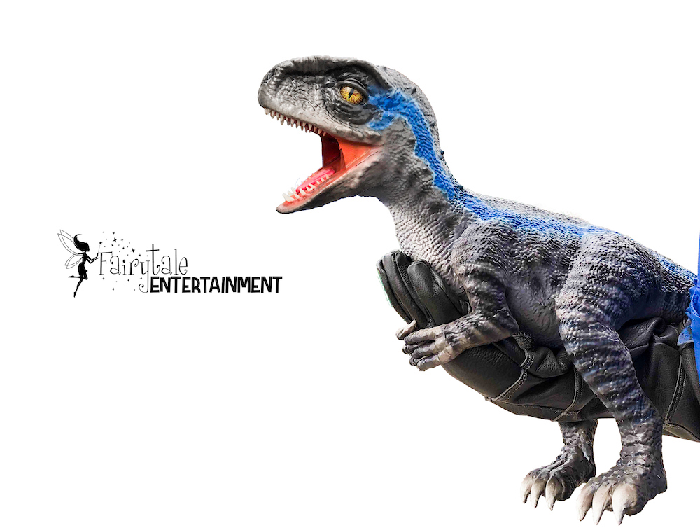 hire a baby raptor for a kids dinosaur party in detroit and chicago
