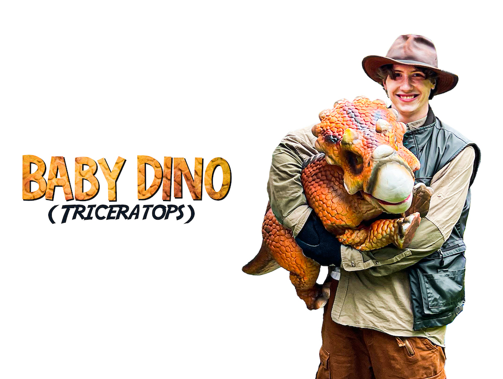 Baby Dinosaur Party Characters, Hire a Dinosaur Trainer for Kids Party, Baby Dinosaur Rental in Michigan, Realistic Baby Dinosaur Rental in Detroit, Dinosaur Entertainment Birthday Party