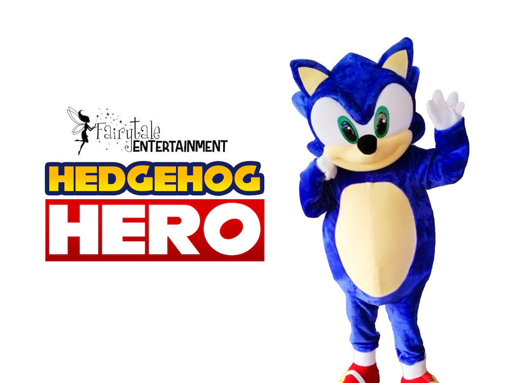  hire sonic for kids birthday party in auburn hills michigan and naperville illinois