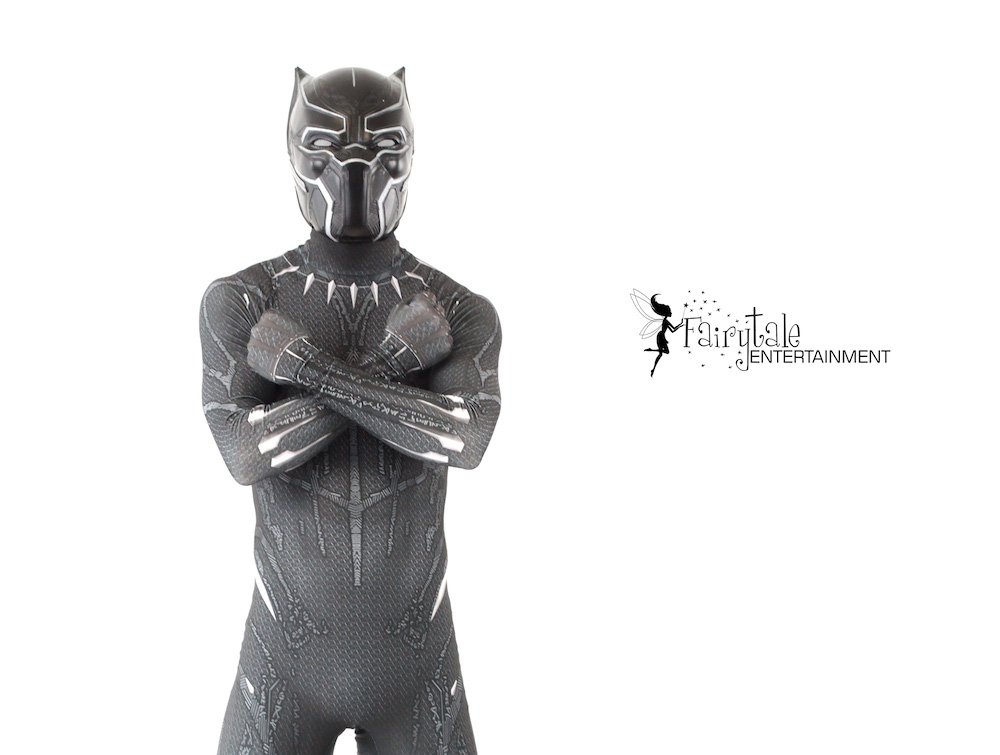 Black Panther Superhero Character