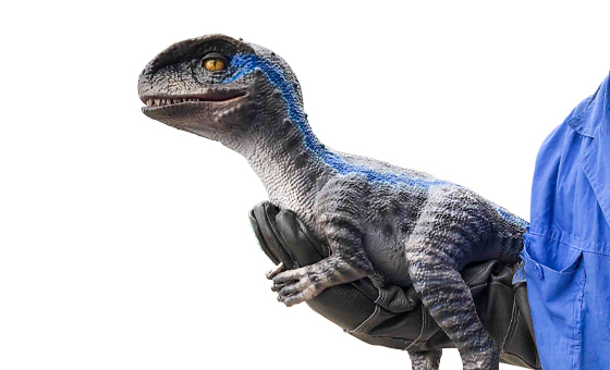 hire a baby raptor for a kids dinosaur party in detroit and chicago