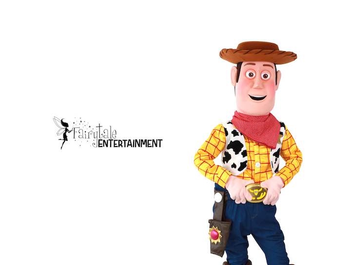 Woody Toy Story Party Characters